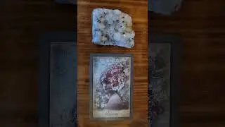 Card of the day #tarot #fortunecards #fortunetelling #valorofcards #prediction
