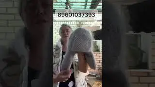 31 августа 2024 г.