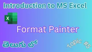 Excel Format Painter