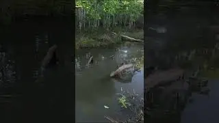 Pegou bem na hora que falei