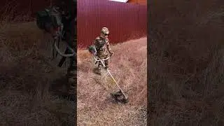 12 мая 2024 г.