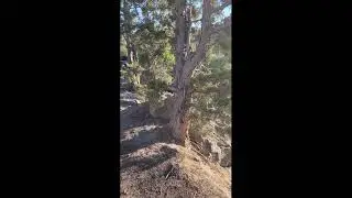 Kline Falls Bend Oregon