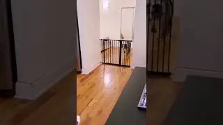 Как такое возможно?