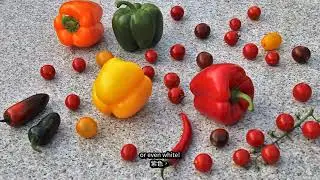 Learn Fruits and Veggies with Farmer Fred!