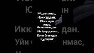кони бузукдан куркинг