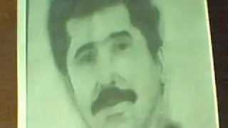 hasnou aouni