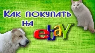 Шаг 3. Как покупать на eBay, и как с ним работать