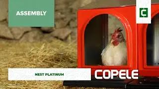Nest Platinum - Assembly | Copele