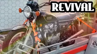 It sat for 10 years and I'm going to resurrect it // Yamaha XS650 Build Ep1