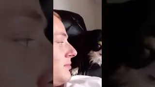 My dog loves licking. 😋 #shorts #short #funny