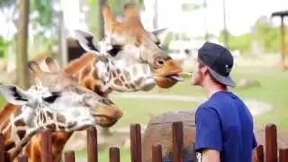 Nitro Circus visit Australia Zoo for a WILD day out on tour!