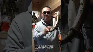 [연말 감사이벤트 갑니다] 미리 크리스마스 #shorts #비너스 #마스 #빠사장