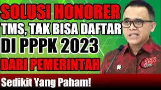 TAK LULUS P3K 2023? TENANG! INI SOLUSI PEMERINTAH