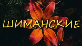 Шиманские | Там в вышине бесконечной