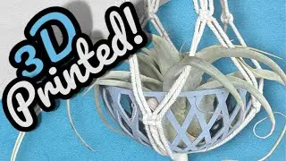 Make a 3D Printed Air-plant Bowl in Fusion 360!