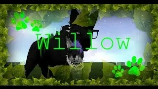 Feral Heart - Willow By Jasmine Thompson (msuic video Short)