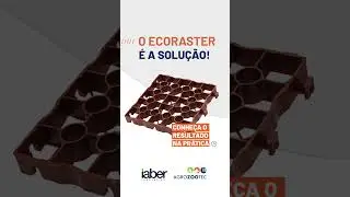 ECORASTER PECUÁRIA