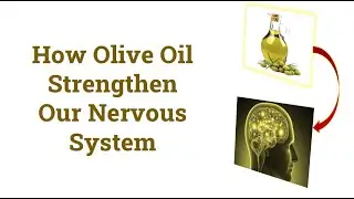 How Olive Oil Strengthen  Nervous System  | nervous system | olive oil effect nervous system