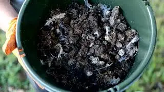 Avoiding using fresh manure incorrectly in your garden