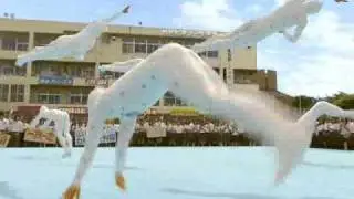 Japan soda commercial