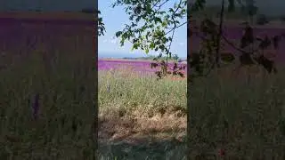 По дороге Севастополь - Евпатория. Лишь бы жила моя Россия!