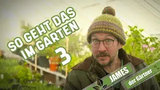 Antworten auf Ihre Fragen zu Pflanzen und Pflege I James der Gärtner