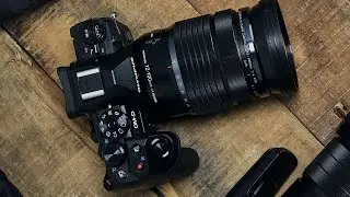 Top 5 Best Olympus Camera for Bird Photography
