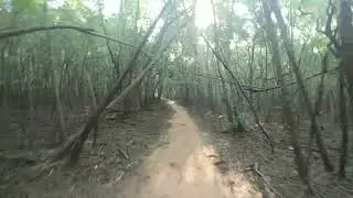 Trail track