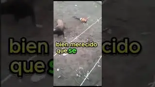 Hay que ser BOBO para hacer eso | #shorts