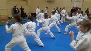 Ката - внучка сдает на зеленый пояс...