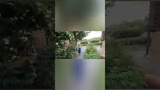Кореш,Эксайл,Горилла Twitch 