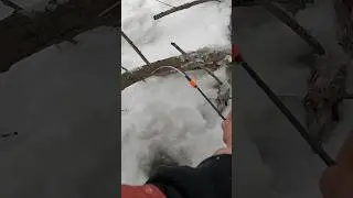 Поклевка плотвы на мормышку #мормышка #зимняяловлярыбы #плотва