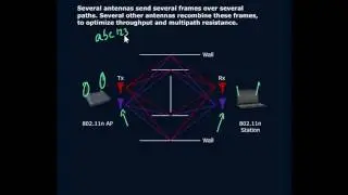 MIMO Antenna Diversity and Spatial Multiplexing