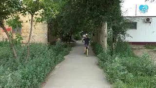 Трава по пояс (29.06.2023)