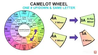 How to Use The Camelot Wheel for Harmonic Mixing While DJing