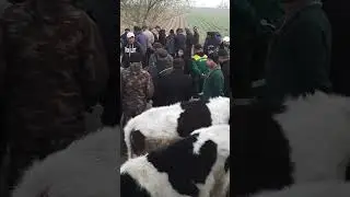 Фармонкургон мол бозори