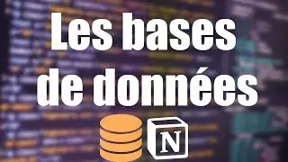 Tout comprendre aux BASES DE DONNÉES (Partie 1)