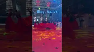 Хит би тобы 8702 630 70 90