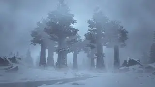 Зимний лес