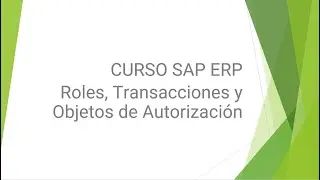 CURSO SAP ERP   3) Roles, Transacciones y Objetos de Autorización