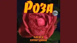 Роза