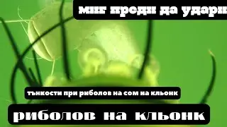 Уникално подводно видео!Риболов на кльонк