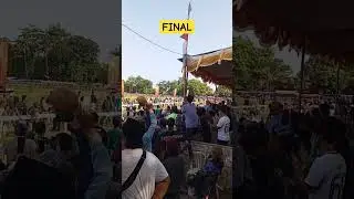 FINAL ‼️BALAP KUDA PIALA MENPORA 2024 AMBAL KEBUMEN #shorts