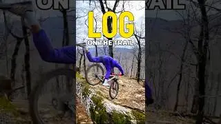 😱LOG on the TRAIL - ITS NOT a problem for TRIAL NINJA👊 