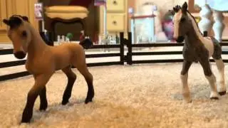 Schleich Horse Movie - A Fault In Love Part 2 [300 subscribers special!]