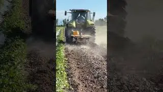 Airofort qovun agro texnika ishlari!