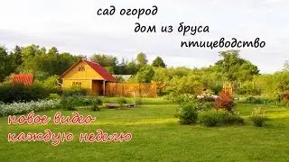 Все про дачу