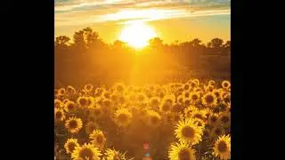 Golden Hour Cover (Jayson Grant)