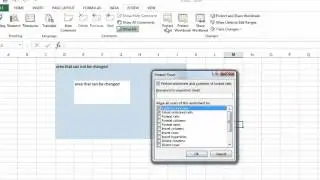 MS Excel:  to protect a worksheet - set a password