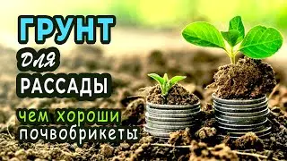 Грунт для рассады. Нужно ли добавлять удобрения?